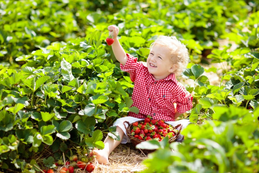 Pick your own Buckinghamshire