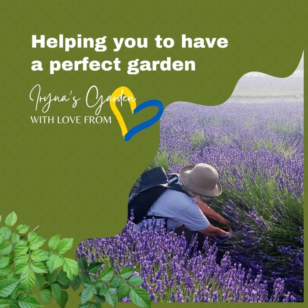 Iryna's Garden & Ironing Milton Keynes