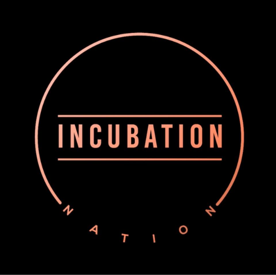 https://incubation-nation.co.uk/
